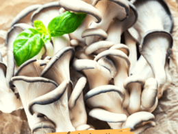 How To Store Oyster Mushrooms